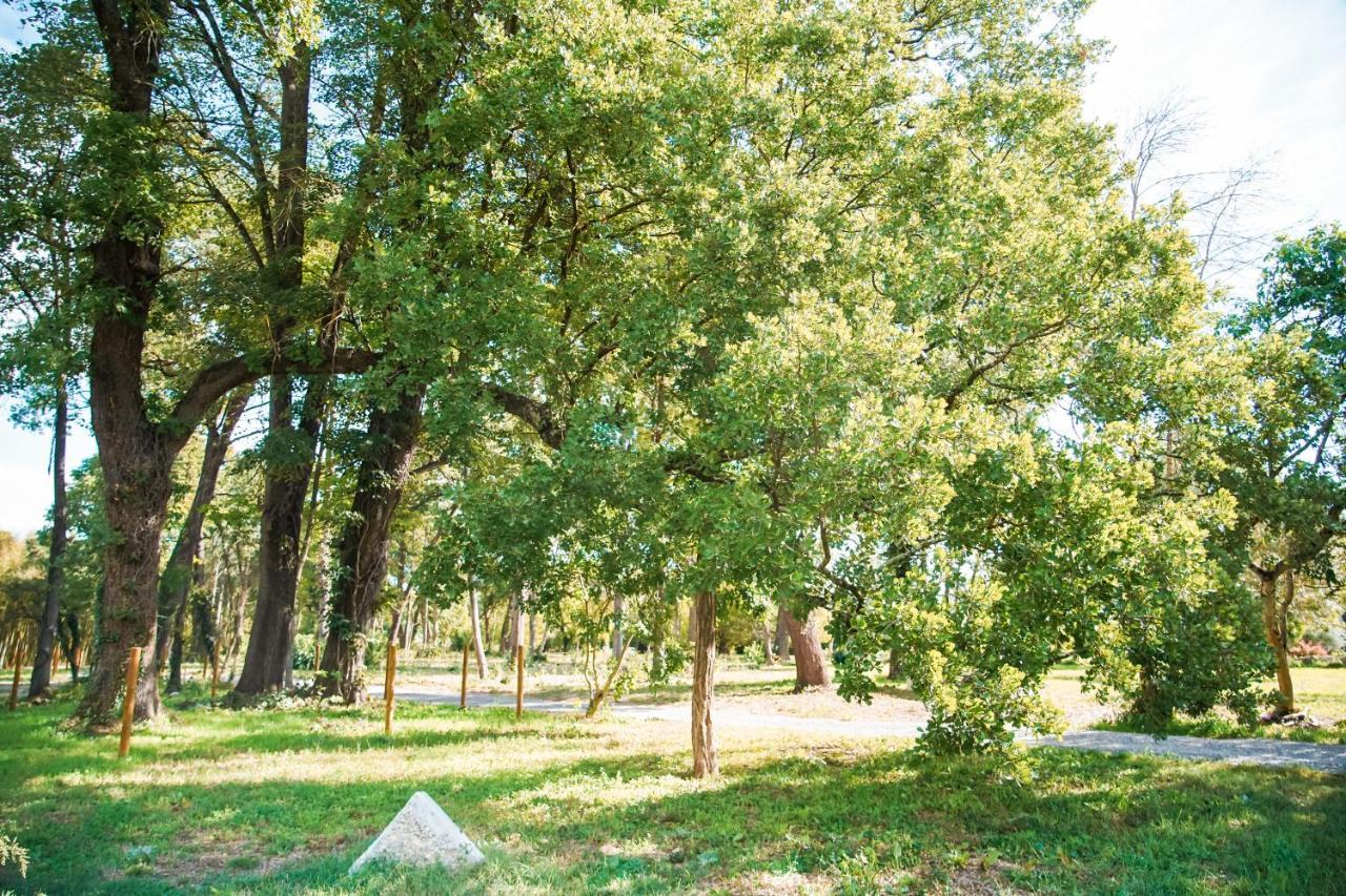 Appartamento Domaine des Églantiers Cardet Esterno foto